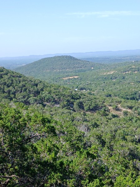 Cedar and oak canopy stretching to the horizon in Kerr County, Texas